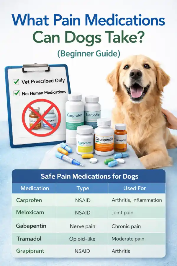 What Pain Medications Can Dogs Take? 