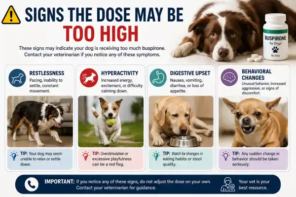Buspirone Dosage for Dogs