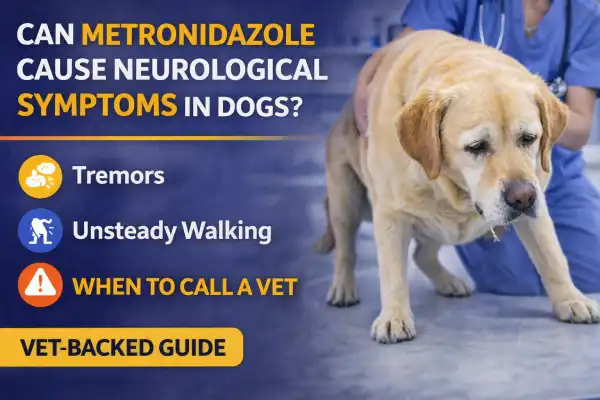 Can Metronidazole Cause Neurological Symptoms in Dogs