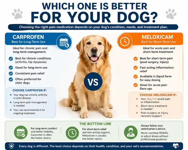 Carprofen vs Meloxicam for Dogs