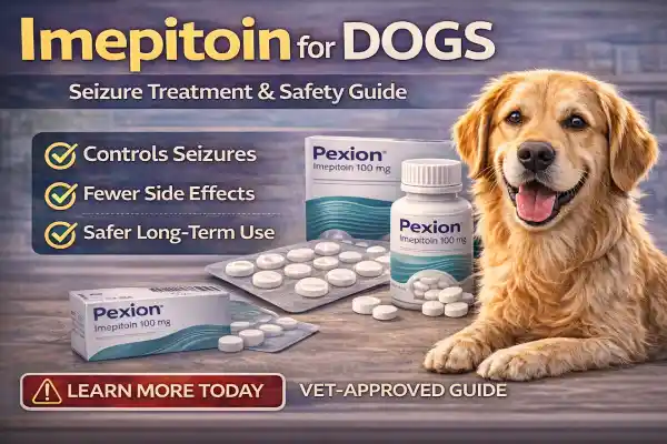 Imepitoin for Dogs