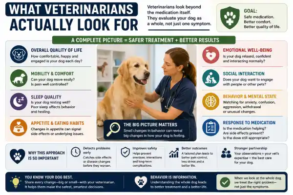 Can Dog Medications Be Given Together?