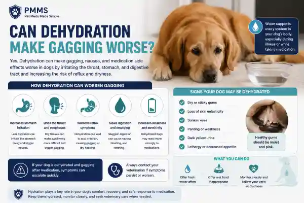 Why Does My Dog Gag After Medication?