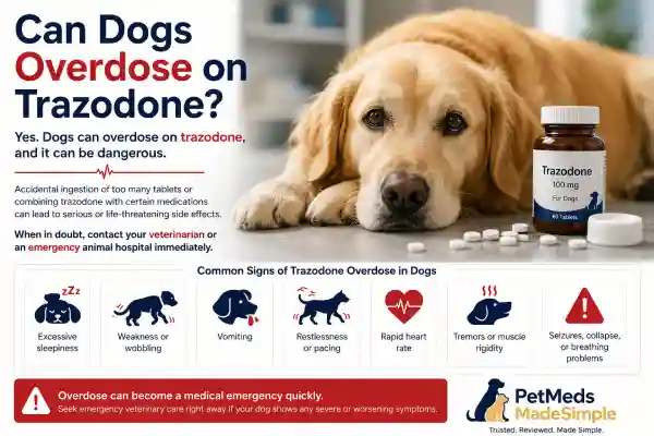 Can Dogs Overdose on Trazodone