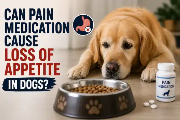 Can Pain Medication Cause Loss of Appetite in Dogs