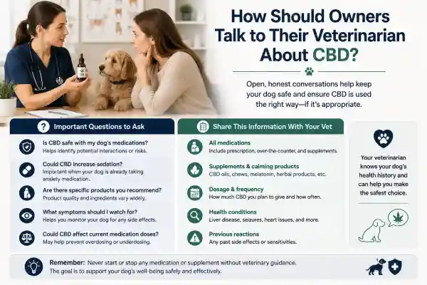 Can Dogs Take CBD With Anxiety Medication?