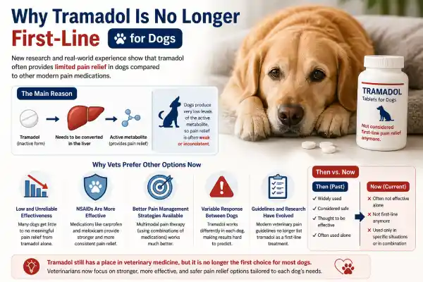 Is Tramadol Still Recommended for Dogs?
