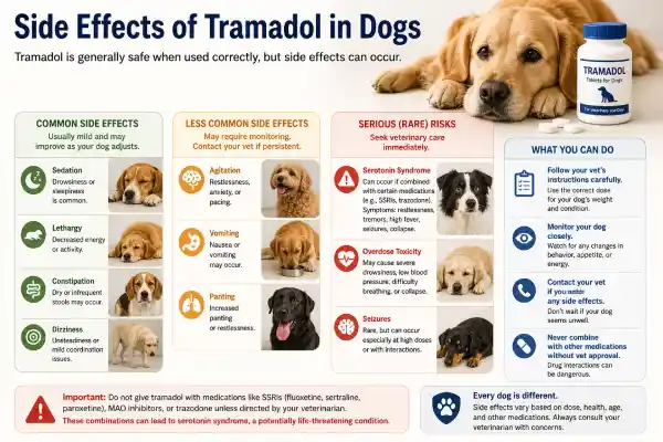 Is Tramadol Still Recommended for Dogs?