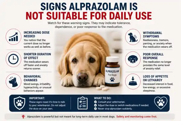 Can Alprazolam Be Used Daily in Dogs?