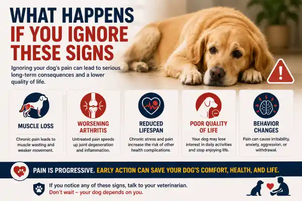 Key Signs Your Dog Needs Stronger Pain Medication