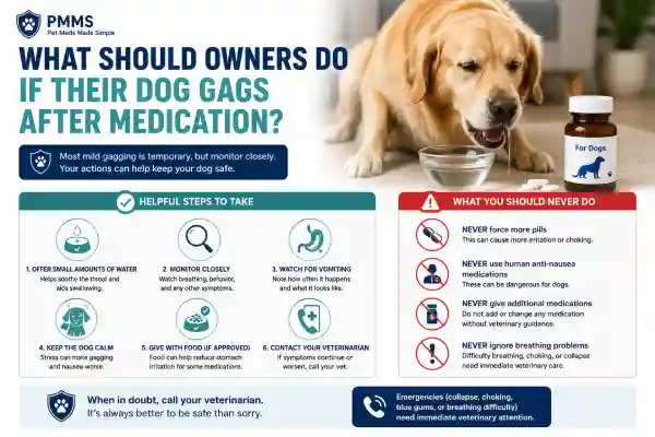 Why Does My Dog Gag After Medication?