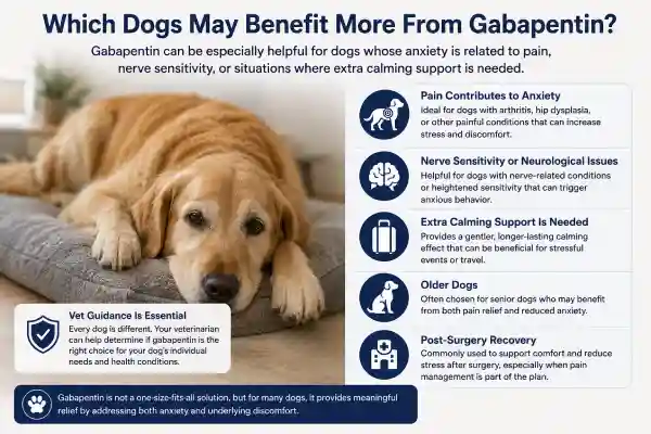 Is Trazodone or Gabapentin Better