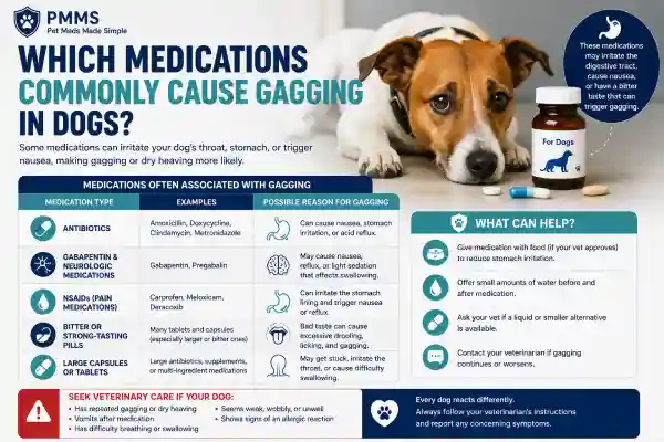 Why Does My Dog Gag After Medication?