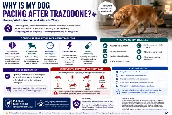 Why Is My Dog Pacing After Trazodone