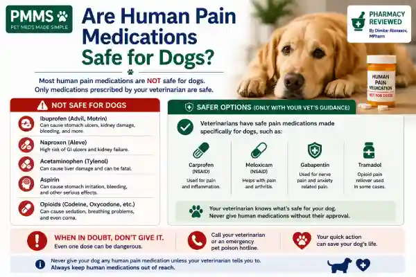 Can Dogs Take Ibuprofen Accidentally
