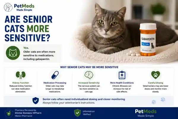 Can Gabapentin Cause Aggression in Cats
