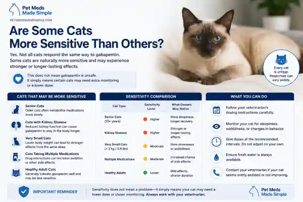 Why Is My Cat Sleepy After Gabapentin