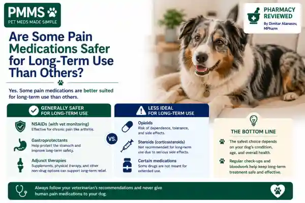 Can Dogs Take Pain Medication Long-Term