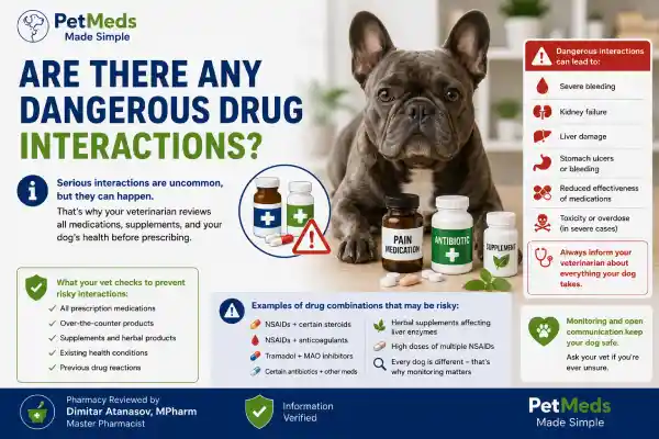 Can Dogs Take Pain Medication With Antibiotics?