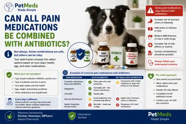 Can Dogs Take Pain Medication With Antibiotics?