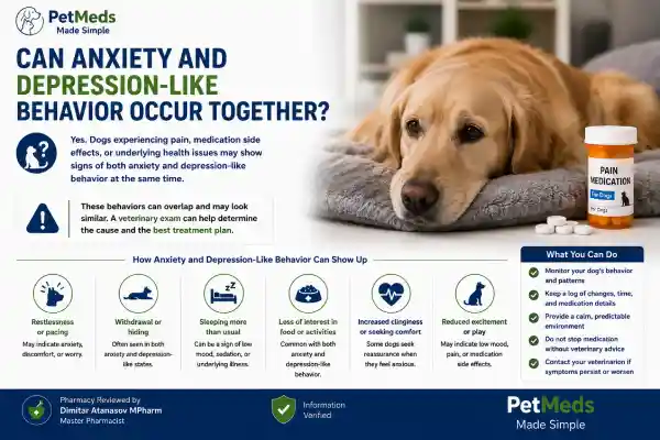 Can Pain Medication Cause Depression in Dogs