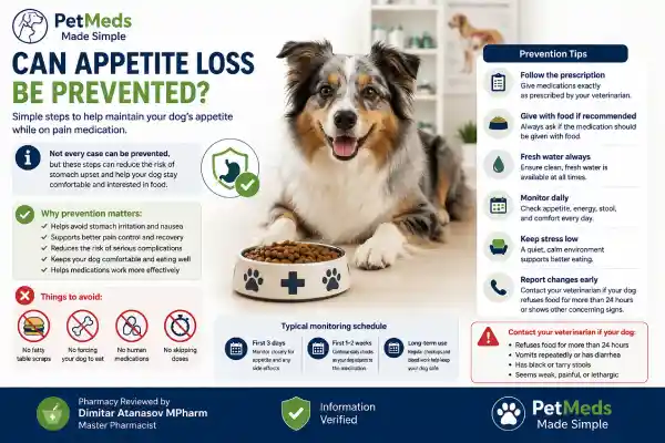 Can Pain Medication Affect Appetite in Dogs?