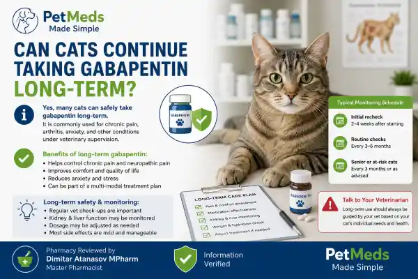 Why Is My Cat Not Eating After Gabapentin