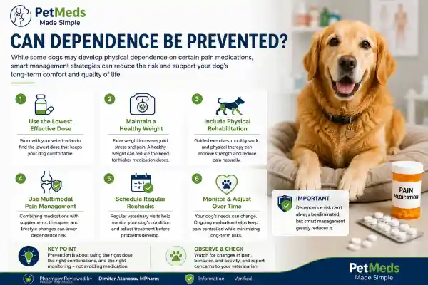 Can Dogs Become Dependent on Pain Medication