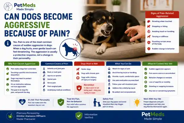 Why Is My Dog More Sensitive to Touch Suddenly?