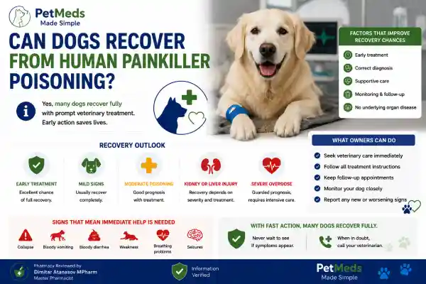 Can Dogs Take Human Painkillers Safely