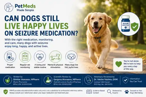Can Seizure Medication Change Dog Personality