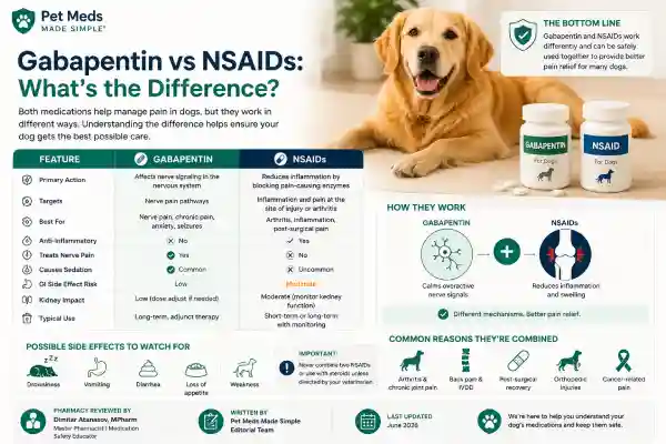 Can Dogs Take Gabapentin and NSAIDs Together