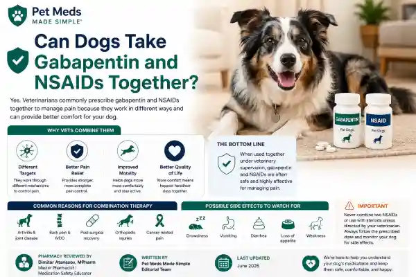 Can Dogs Take Gabapentin and NSAIDs Together