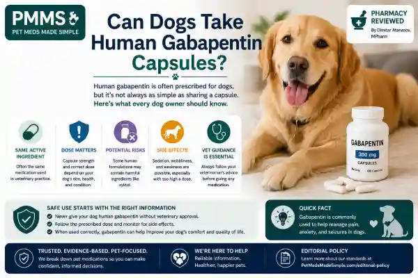 Can Dogs Take Human Gabapentin Capsules