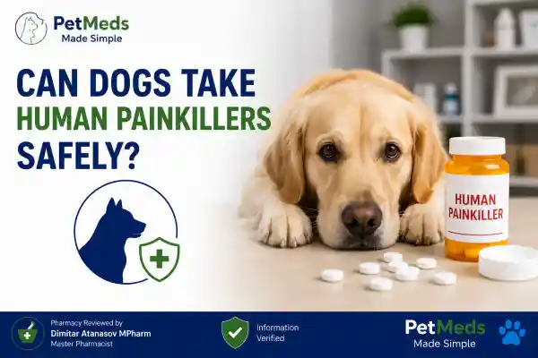 Can Dogs Take Human Painkillers Safely