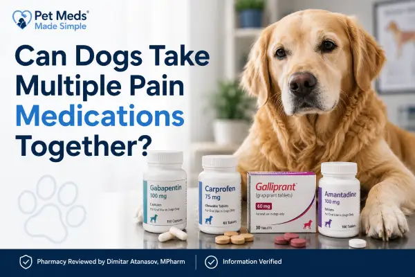 Can Dogs Take Multiple Pain Medications Together