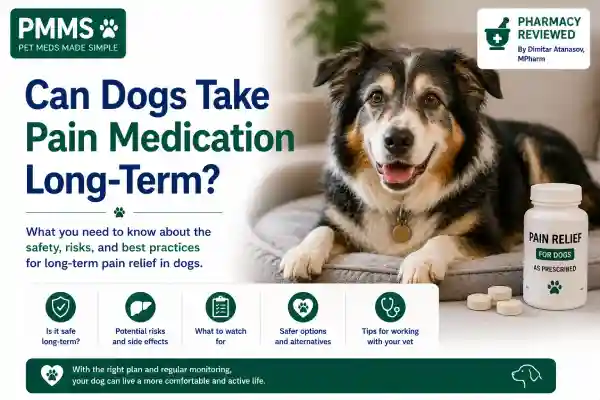 Can Dogs Take Pain Medication Long-Term