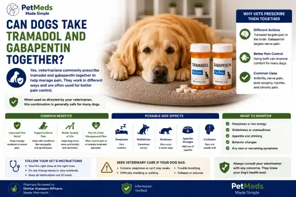 Can Dogs Take Tramadol and Gabapentin Together