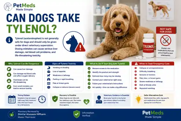 Can Dogs Take Tylenol