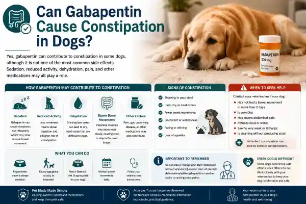 Can Gabapentin Cause Constipation in Dogs