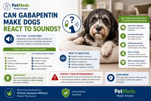 Why Is My Dog Sensitive to Noise After Medication