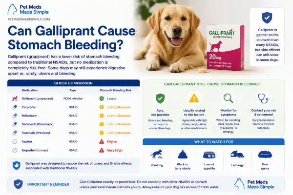 Can Pain Medication Cause Stomach Bleeding in Dogs?