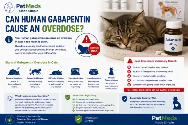 Is Human Gabapentin Safe for Cats