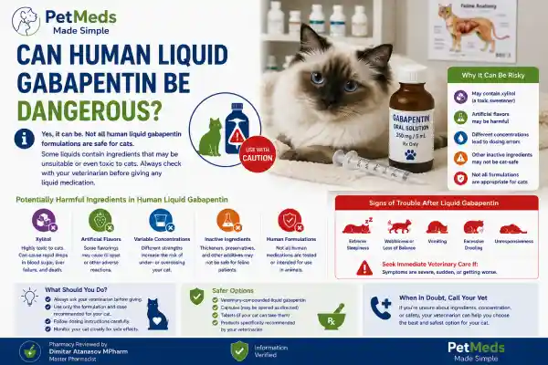 Is Human Gabapentin Safe for Cats