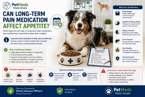 Can Pain Medication Affect Appetite in Dogs?