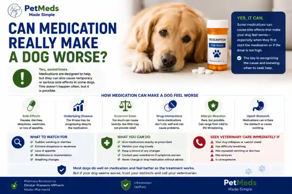 Is My Dog Suddenly Worse After Medication
