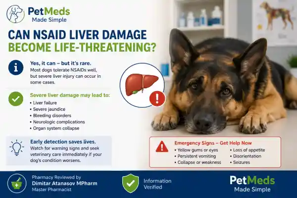 Can NSAIDs Cause Liver Damage in Dogs