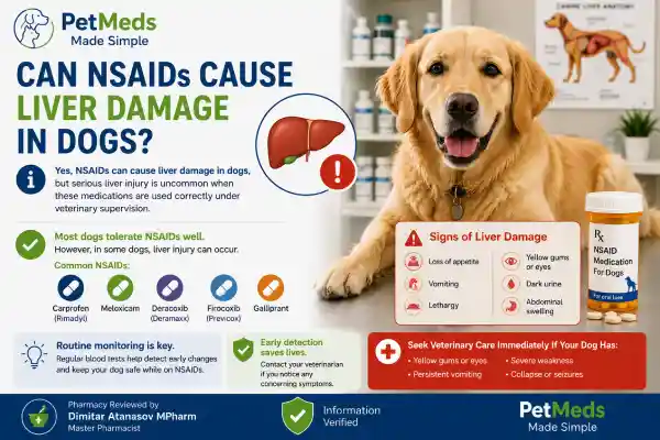 Can NSAIDs Cause Liver Damage in Dogs