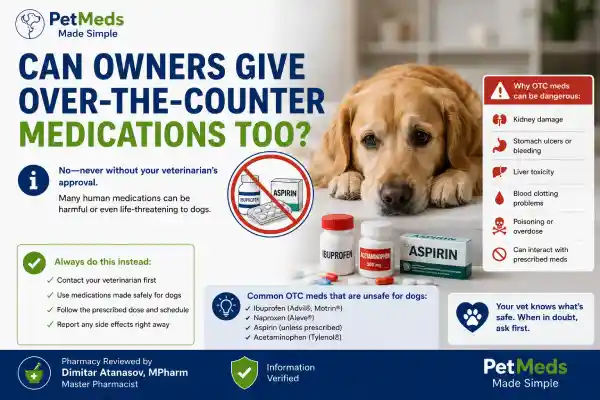Can Dogs Take Pain Medication With Antibiotics?