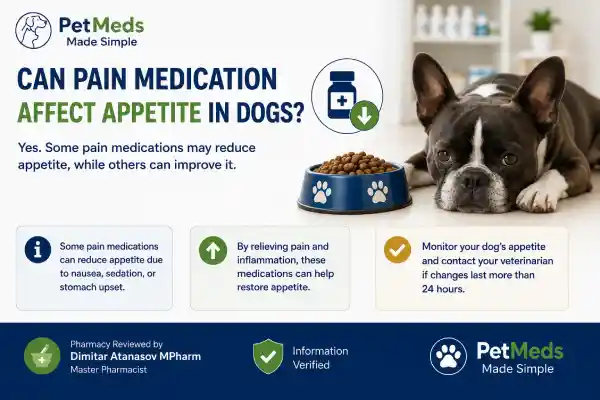 Can Pain Medication Affect Appetite in Dogs?